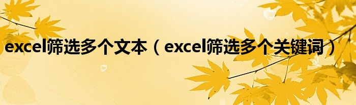 excel篩選多個文本（excel篩選多個關(guān)鍵詞）