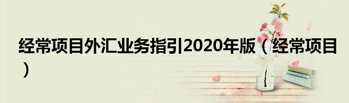 經(jīng)常項目外匯業(yè)務(wù)指引2020年版（經(jīng)常項目）