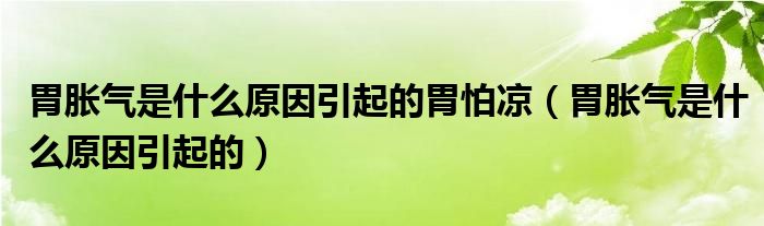 胃脹氣是什么原因引起的胃怕涼（胃脹氣是什么原因引起的）