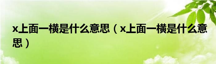 x上面一橫是什么意思（x上面一橫是什么意思）