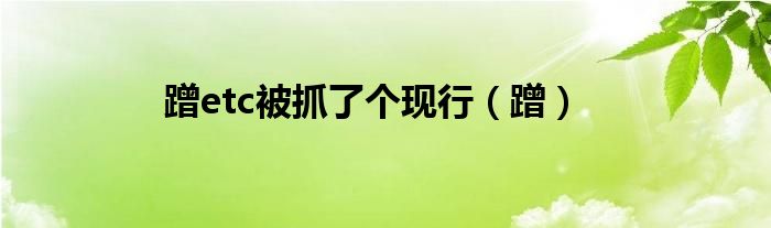 蹭etc被抓了個(gè)現(xiàn)行（蹭）