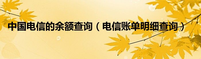 中國電信的余額查詢（電信賬單明細(xì)查詢）