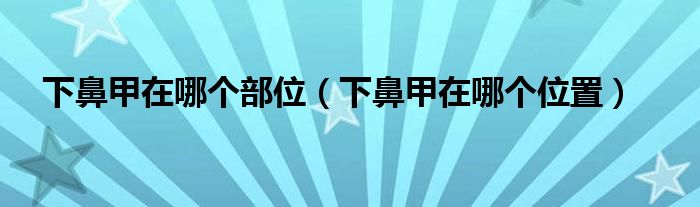 下鼻甲在哪個(gè)部位（下鼻甲在哪個(gè)位置）