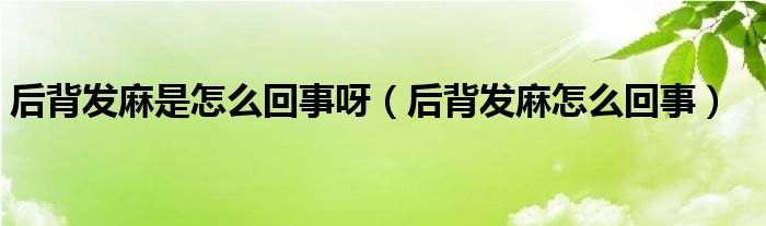 后背發(fā)麻是怎么回事呀（后背發(fā)麻怎么回事）