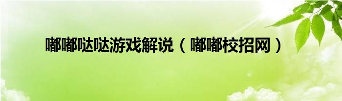 嘟嘟噠噠游戲解說（嘟嘟校招網(wǎng)）