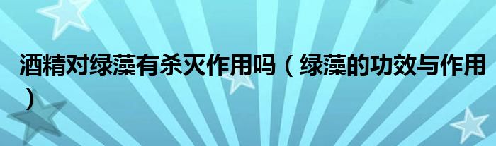 酒精對綠藻有殺滅作用嗎（綠藻的功效與作用）