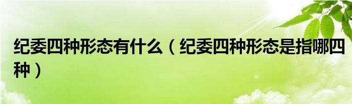 紀委四種形態(tài)有什么（紀委四種形態(tài)是指哪四種）