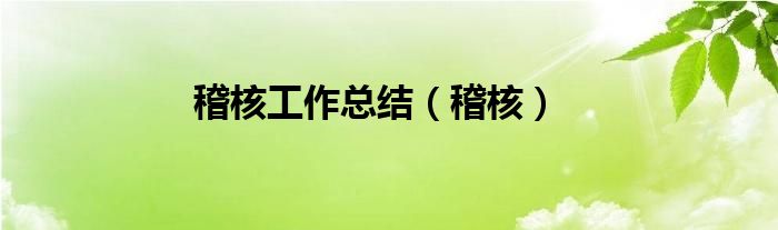 稽核工作總結(jié)（稽核）