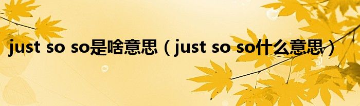 just so so是啥意思（just so so什么意思）