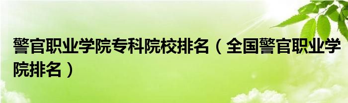 警官職業(yè)學(xué)院?？圃盒Ｅ琶ㄈ珖?guó)警官職業(yè)學(xué)院排名）