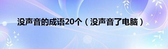 沒聲音的成語(yǔ)20個(gè)（沒聲音了電腦）