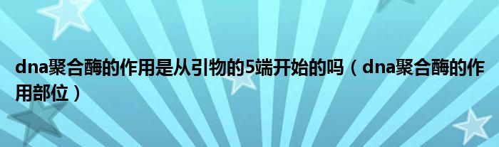 dna聚合酶的作用是從引物的5端開始的嗎（dna聚合酶的作用部位）