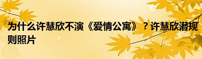 為什么許慧欣不演《愛情公寓》？許慧欣潛規(guī)則照片