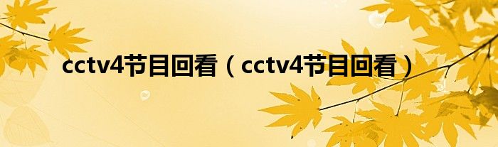 cctv4節(jié)目回看（cctv4節(jié)目回看）