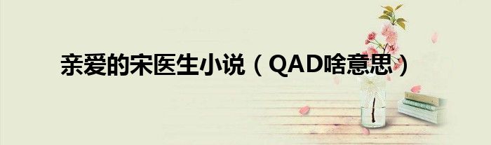 親愛的宋醫(yī)生小說（QAD啥意思）