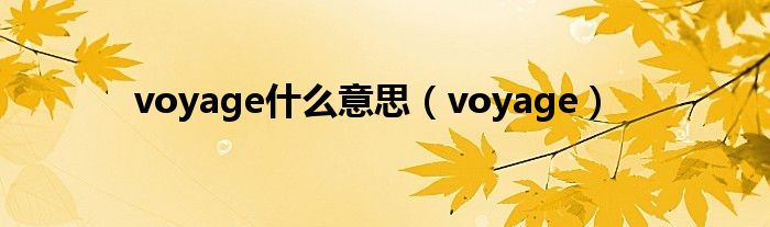 voyage什么意思（voyage）