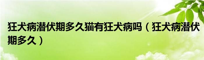 狂犬病潛伏期多久貓有狂犬病嗎（狂犬病潛伏期多久）