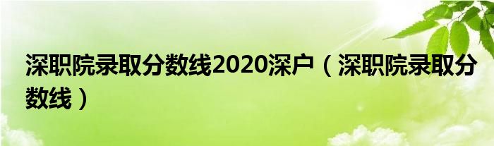 深職院錄取分數(shù)線2020深戶（深職院錄取分數(shù)線）