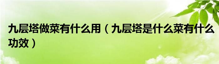 九層塔做菜有什么用（九層塔是什么菜有什么功效）