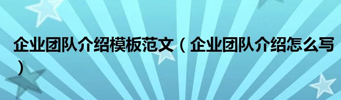 企業(yè)團隊介紹模板范文（企業(yè)團隊介紹怎么寫）