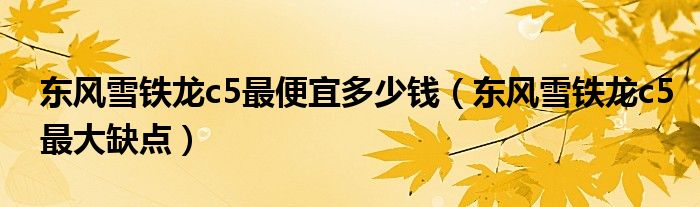 東風(fēng)雪鐵龍c5最便宜多少錢（東風(fēng)雪鐵龍c5最大缺點(diǎn)）