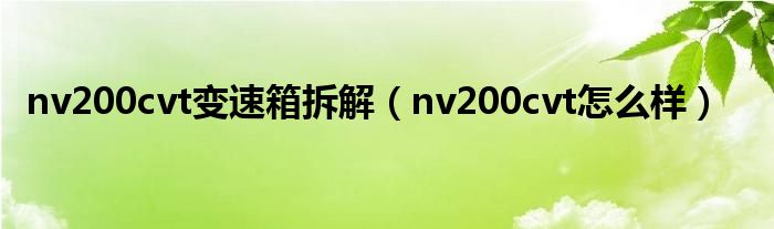 nv200cvt變速箱拆解（nv200cvt怎么樣）