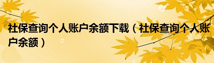 社保查詢個人賬戶余額下載（社保查詢個人賬戶余額）