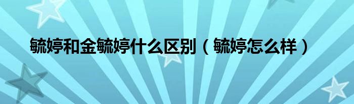 毓婷和金毓婷什么區(qū)別（毓婷怎么樣）