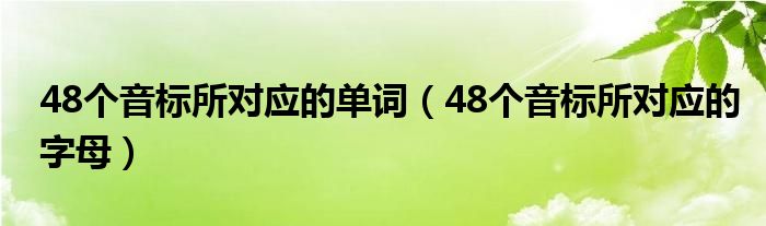 48個(gè)音標(biāo)所對應(yīng)的單詞（48個(gè)音標(biāo)所對應(yīng)的字母）