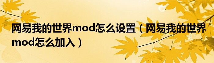 網(wǎng)易我的世界mod怎么設(shè)置（網(wǎng)易我的世界mod怎么加入）