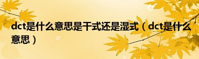 dct是什么意思是干式還是濕式（dct是什么意思）