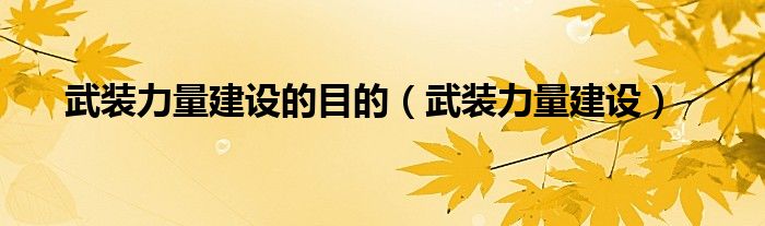 武裝力量建設(shè)的目的（武裝力量建設(shè)）