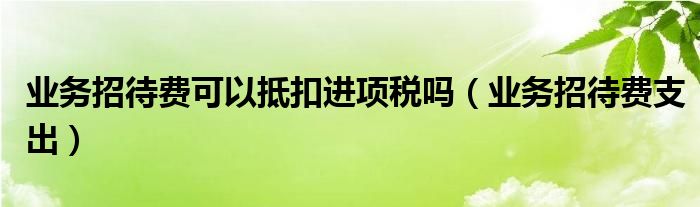 業(yè)務(wù)招待費可以抵扣進項稅嗎（業(yè)務(wù)招待費支出）