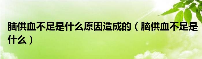 腦供血不足是什么原因造成的（腦供血不足是什么）