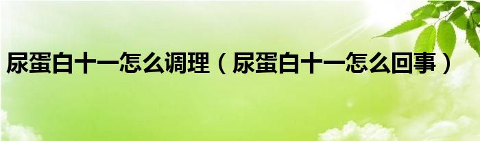 尿蛋白十一怎么調(diào)理（尿蛋白十一怎么回事）