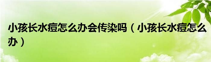 小孩長水痘怎么辦會(huì)傳染嗎（小孩長水痘怎么辦）