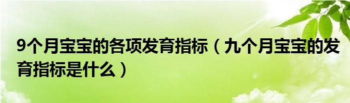 9個月寶寶的各項(xiàng)發(fā)育指標(biāo)（九個月寶寶的發(fā)育指標(biāo)是什么）