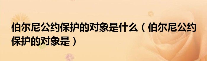 伯爾尼公約保護的對象是什么（伯爾尼公約 保護的對象是）