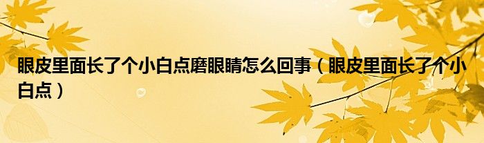 眼皮里面長了個小白點磨眼睛怎么回事（眼皮里面長了個小白點）