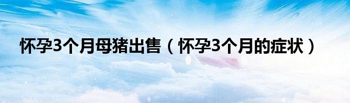 懷孕3個(gè)月母豬出售（懷孕3個(gè)月的癥狀）