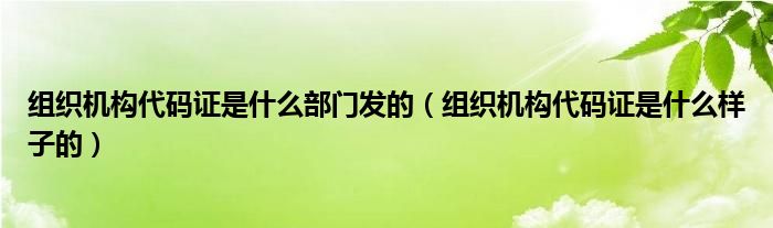 組織機構代碼證是什么部門發(fā)的（組織機構代碼證是什么樣子的）