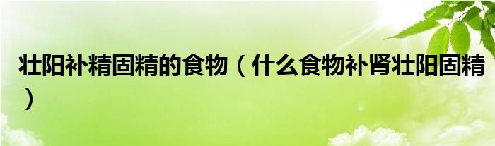 壯陽補(bǔ)精固精的食物（什么食物補(bǔ)腎壯陽固精）