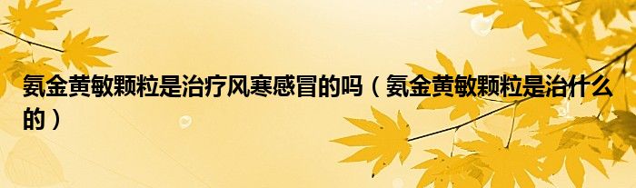 氨金黃敏顆粒是治療風(fēng)寒感冒的嗎（氨金黃敏顆粒是治什么的）