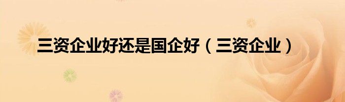 三資企業(yè)好還是國企好（三資企業(yè)）