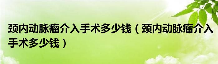 頸內(nèi)動脈瘤介入手術(shù)多少錢（頸內(nèi)動脈瘤介入手術(shù)多少錢）