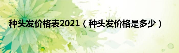 種頭發(fā)價格表2021（種頭發(fā)價格是多少）