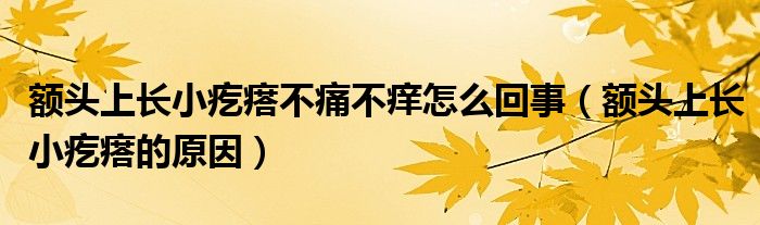 額頭上長小疙瘩不痛不癢怎么回事（額頭上長小疙瘩的原因）