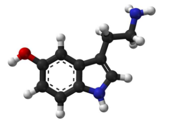 對(duì)抑郁癥血清素缺乏概念的新支持
