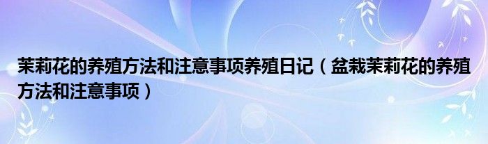 茉莉花的養(yǎng)殖方法和注意事項(xiàng)養(yǎng)殖日記（盆栽茉莉花的養(yǎng)殖方法和注意事項(xiàng)）