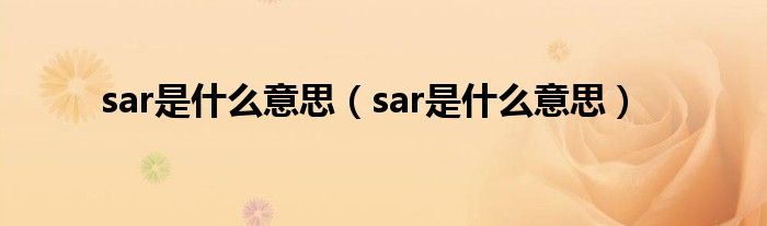 sar是什么意思（sar是什么意思）